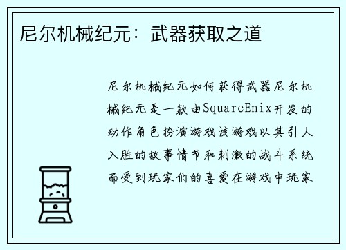 尼尔机械纪元：武器获取之道